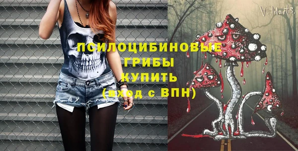 прущие грибы Алексеевка