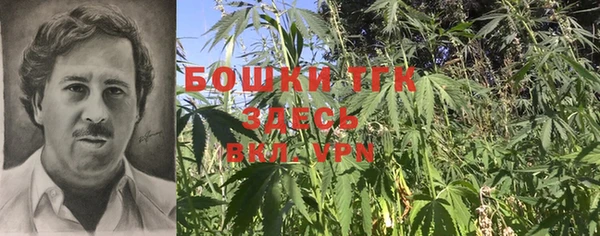 прущие грибы Алексеевка