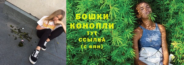 прущие грибы Алексеевка