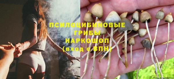 амф Алексин