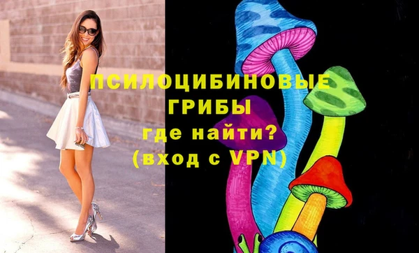 мяу мяу мука Алзамай