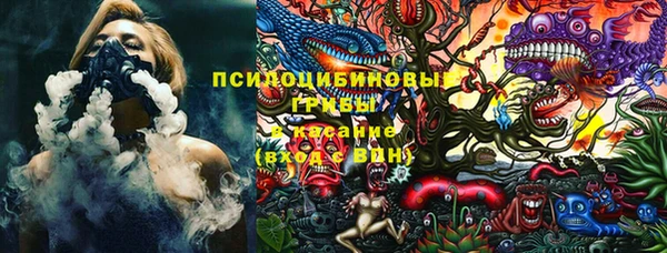 прущие грибы Алексеевка